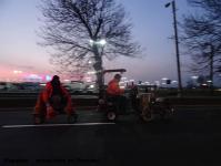 Imagine atasata: Shopping City Timisoara - 2016.03.19 - 57.jpg